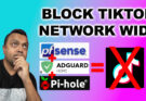 Block TikTok network-wide with pfSense and dns sinkhole